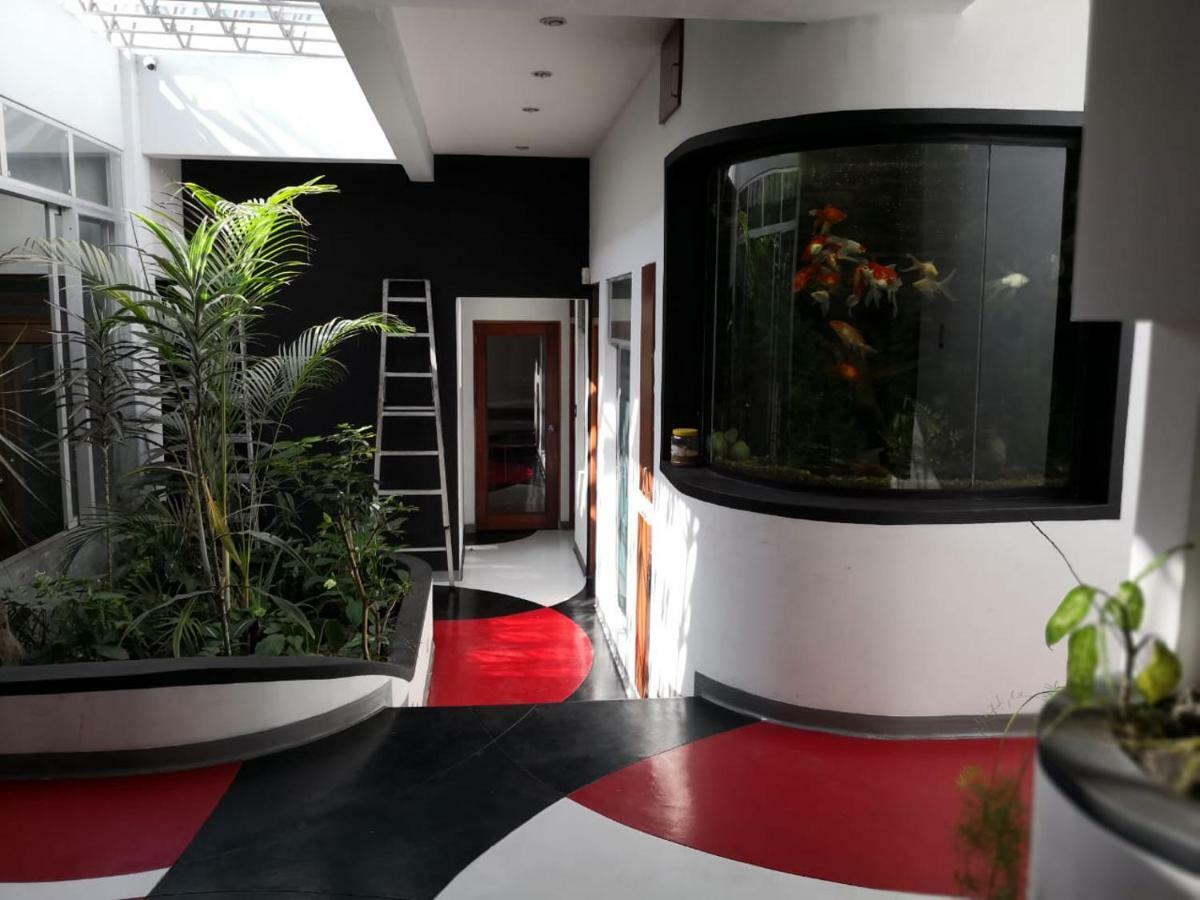 Apartments And Rooms Distecon Guatemala City Bagian luar foto