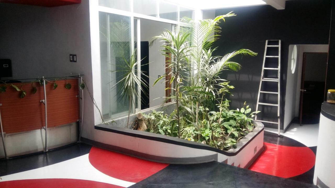 Apartments And Rooms Distecon Guatemala City Bagian luar foto